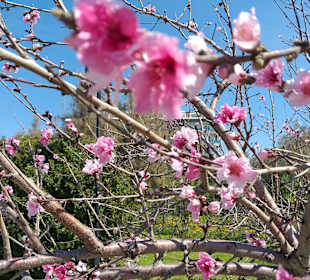 Strandpromenade Evrenseki