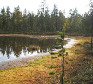 Pasviktal