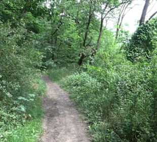 Schutzgebiet Spitzberg, Pfaffenberg