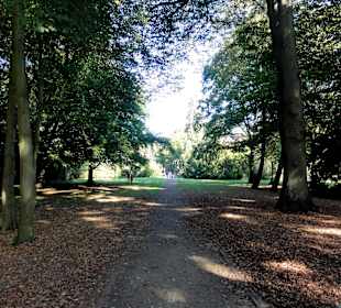 Herbstliche Wege in Knoops Park