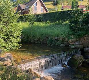 Wandern Oberprechtal