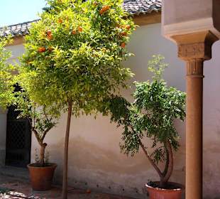 Alcazaba
