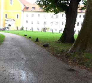 Klosterhof