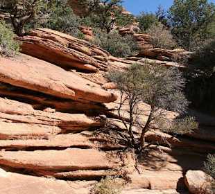 Beeindruckendes Gestein