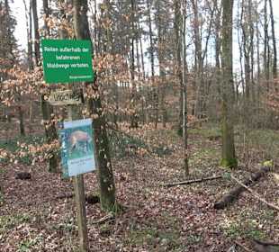 Gomaringer Rundweg - Zu den Giganten im Wald