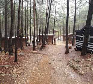 Fußweg vom Parkplatz zum Adlerauge