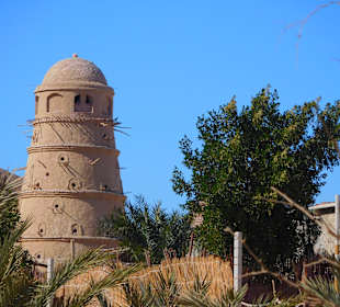Ausflug nach El Gouna