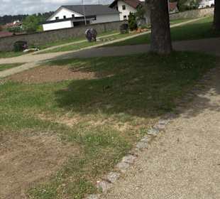 Friedhof Dürrenmettstetten