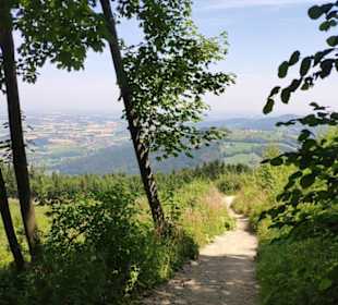 Wanderweg auf den Grünberg