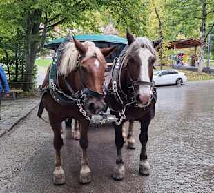 Schloss Neuschwanstein