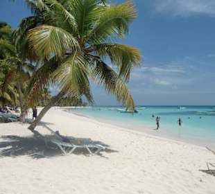 Karibiktraum auf Saona