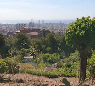 Park Güell 