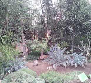 Palmiarnia Poznańska