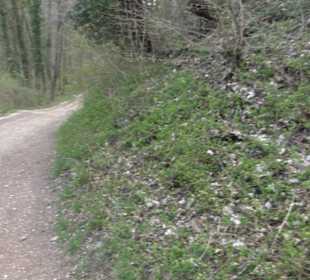 Impressionen_2021_04_owen_02_bilder_22_burgteck
