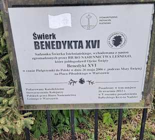 Baum für Papst Benedikt
