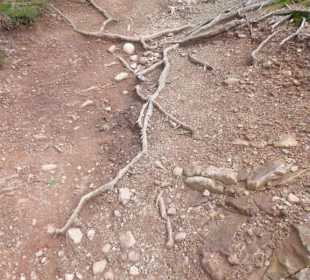 Wandern Oberbozen nach Maria Saal