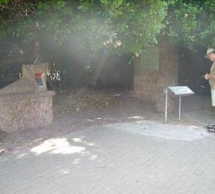 Der Postkasten am alten Postbaum