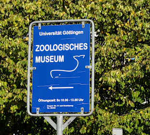 Wegweiser zum Museum
