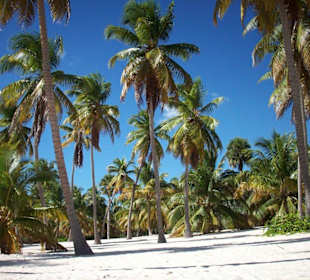 Canto de la Playa - Seavis Tours