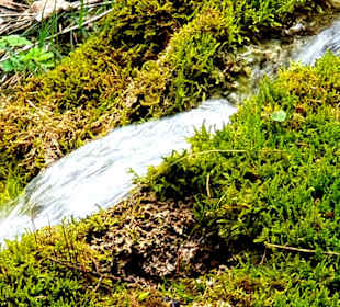 Da rennt das Wasser