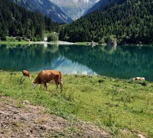 See Schlegeisspeicher