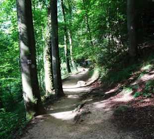 Wanderung durch die Kleine Luxemburger Schweiz