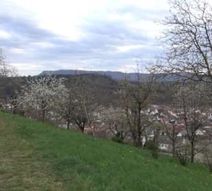 Der Grafenberg