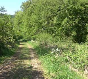 Premiumwanderweg Hochgehschätzt