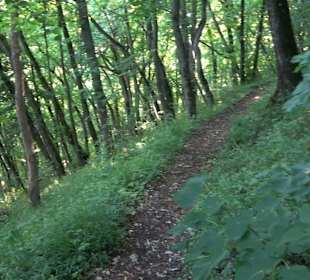 Burgruine Andeck Talheim