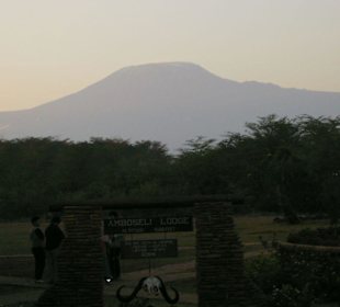 Kilimanjaro