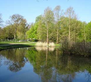 Impressionen vom Spaziergang durch den Kurpark