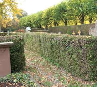 Hauptfriedhof Friedrichshafen