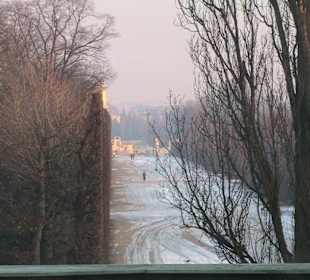 Aussicht auf Schönbrunn