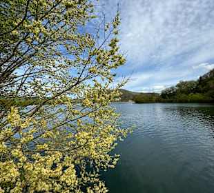 Wandern Diemelsee