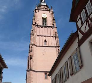 Die Kirche St. Peter und Paul von Eltville