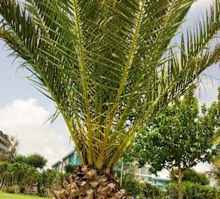 Evrenseki an der Promenade entlang