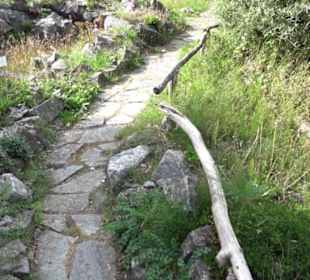Alpinum