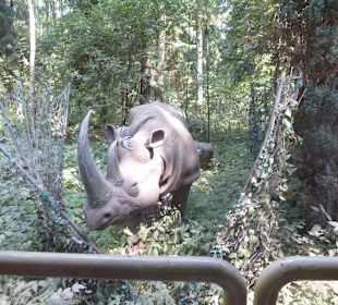 Mit dem Jeep unterwegs