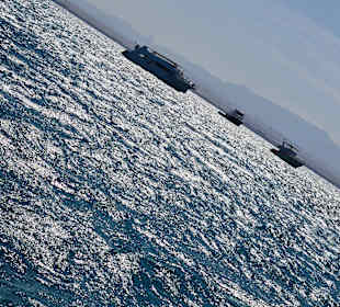 Delfinausflug mit Mo