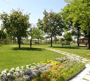 О. Торчелло