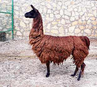 Tierpark Manavgat