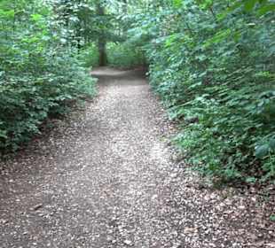 Burg Alt-Lichtenstein