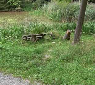 Sonnenaufgangs-Rundwanderung Rübgarten
