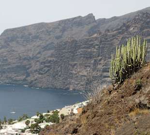 Los Gigantes 