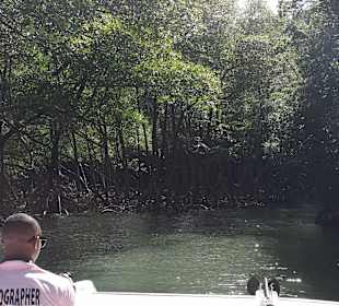 Los Haitises Nationalpark