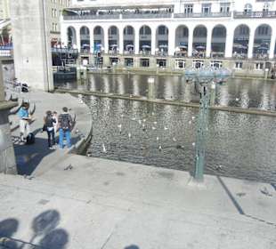Rathaus Hamburg