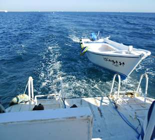 Unterwegs zum nächsten Riff