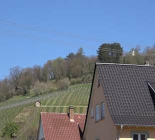 Wanderung Florianrunde