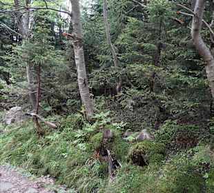 Karkonoski Park Narodowy