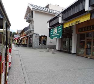 Mit der Mini Train durch Chamonix